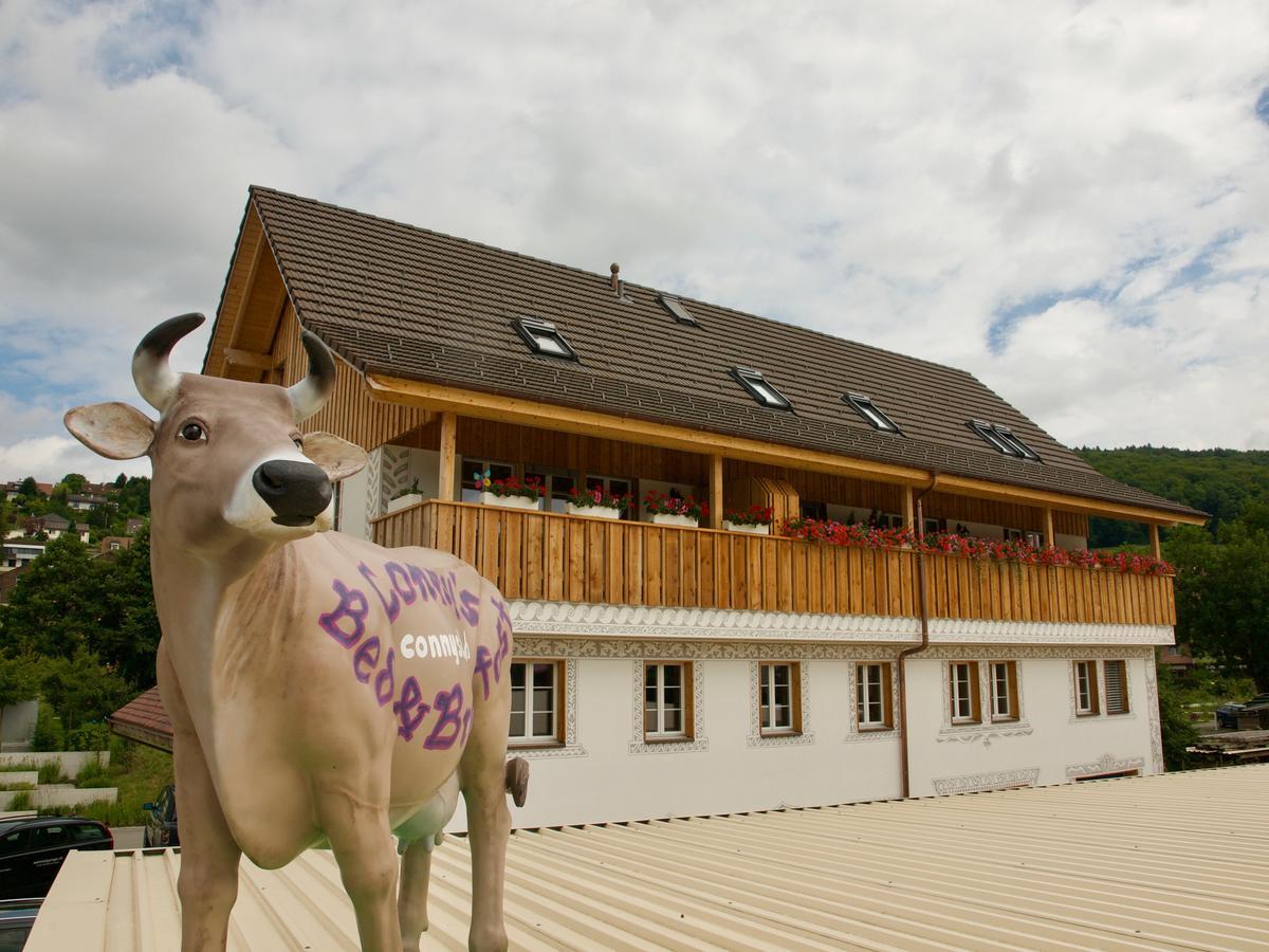 Conny'S B&B Niederweningen Exterior foto
